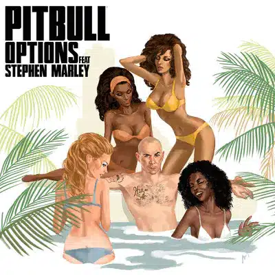 Options Song by Pitbull Ft. Stephen Marley